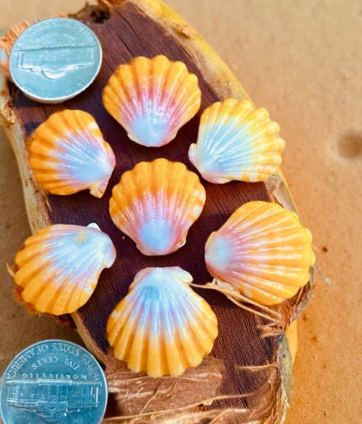 Absolutely gorgeous and super rare Sunrise Shell Necklace with AAA Gemstone or Pearl // Pick shell & stone // Wire wrapped jewelry // Handmade in Hawaii with love //