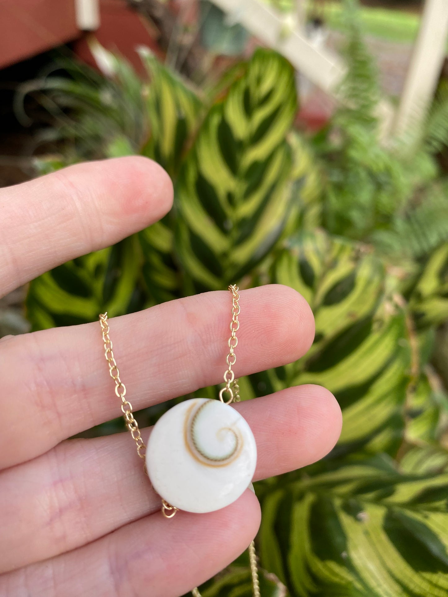 Shiva Shell & Rainbow Moonstone necklace // Eye of Shiva shell // For Protection // Wire wrapped jewelry//  Handmade in Hawaii with love //
