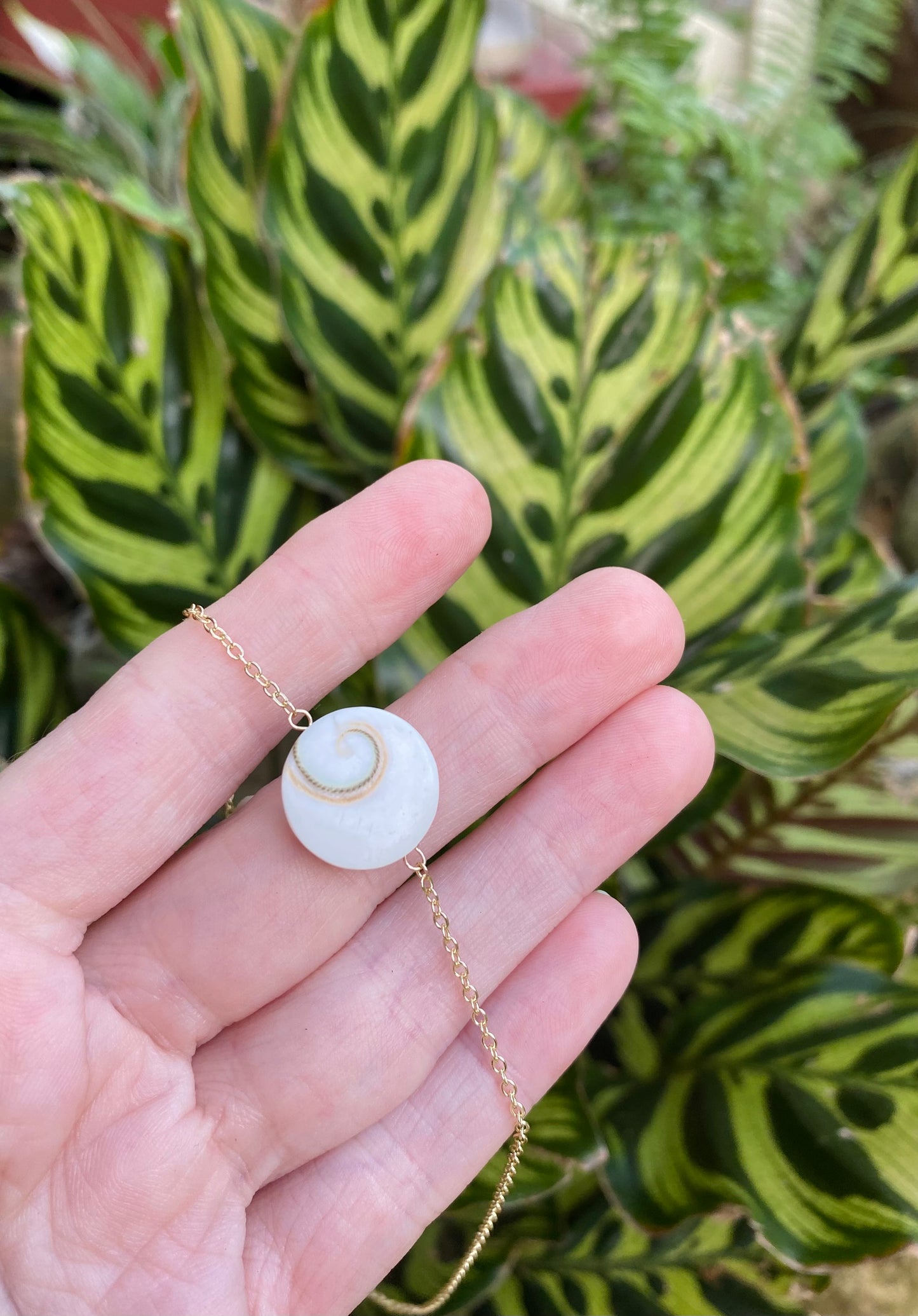Shiva Shell & Rainbow Moonstone necklace // Eye of Shiva shell // For Protection // Wire wrapped jewelry//  Handmade in Hawaii with love //