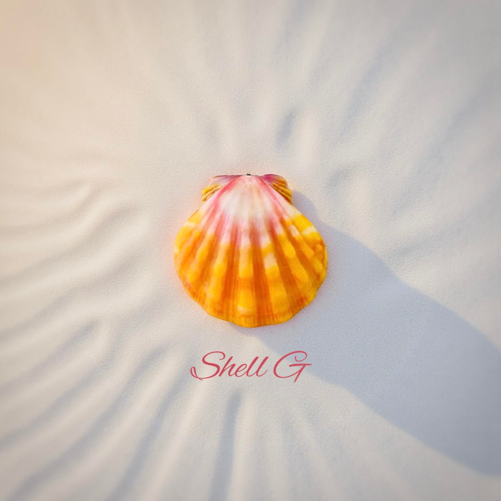 Genuine Hawaiian Sunrise Shell Necklace with beautiful AAA gemstone or pearl // Wire wrapped jewelry //  Handmade in Hawaii with love //