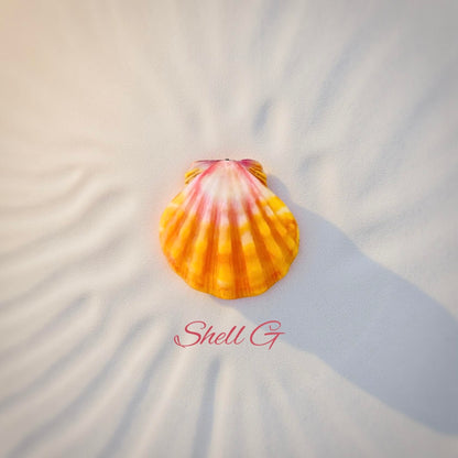 Genuine Hawaiian Sunrise Shell Necklace with beautiful AAA gemstone or pearl // Wire wrapped jewelry //  Handmade in Hawaii with love //