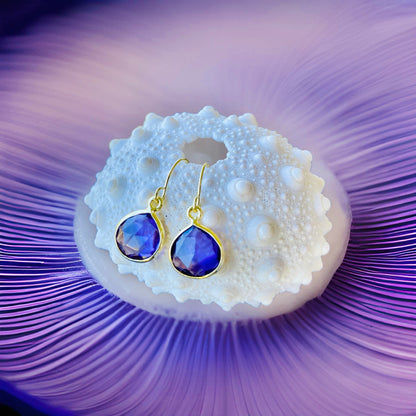 Wonderful Amethyst earrings. 24K gold or Sterling silver Electroplated Amethyst crystal jewelry dangles. Necklace available as well 💜